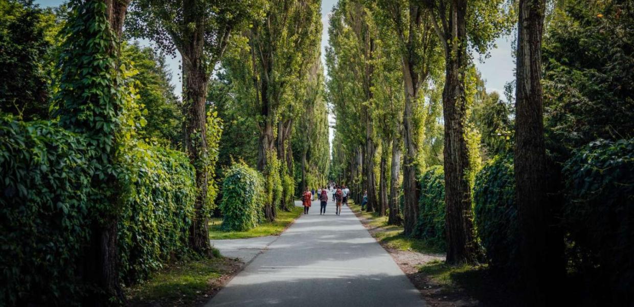 Assistens Cemetery | Simon Bang